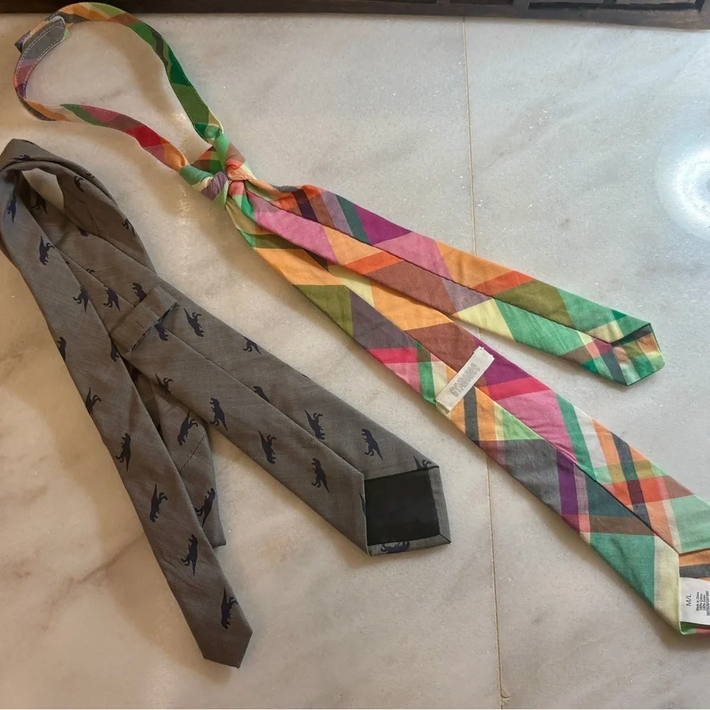 3/$15 Boys Multicolor Plaid and Gray Dino Ties